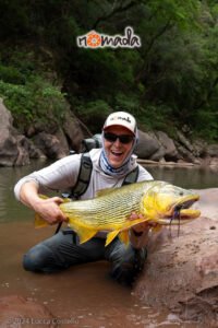 Nomada_Salta_Argentina_Golden_Dorado